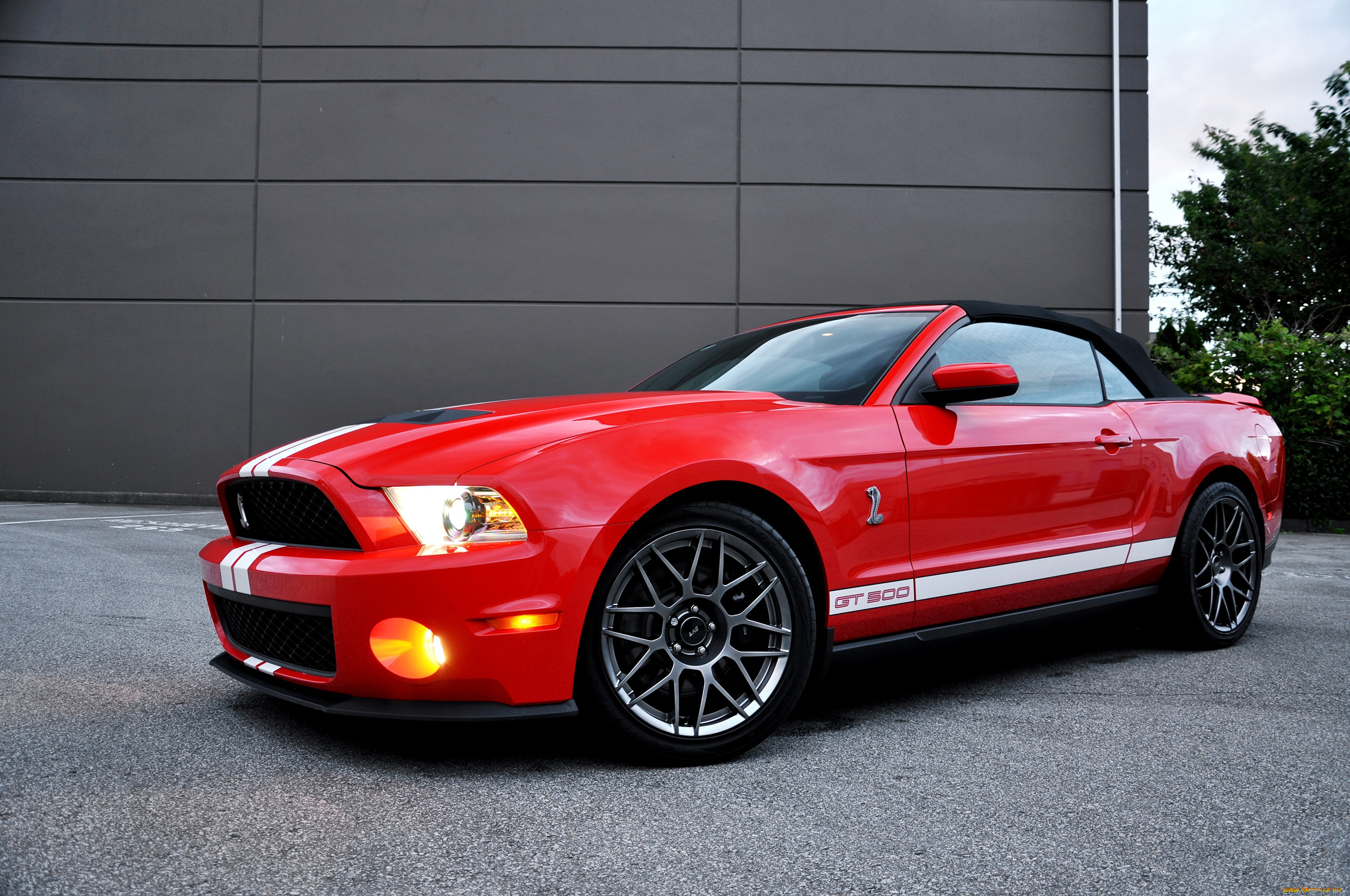 , mustang, light, red, convertible, gt500, ford, , wall, tree, , , 500, , , 